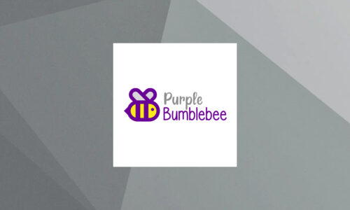 Purple Bumblebee Inc