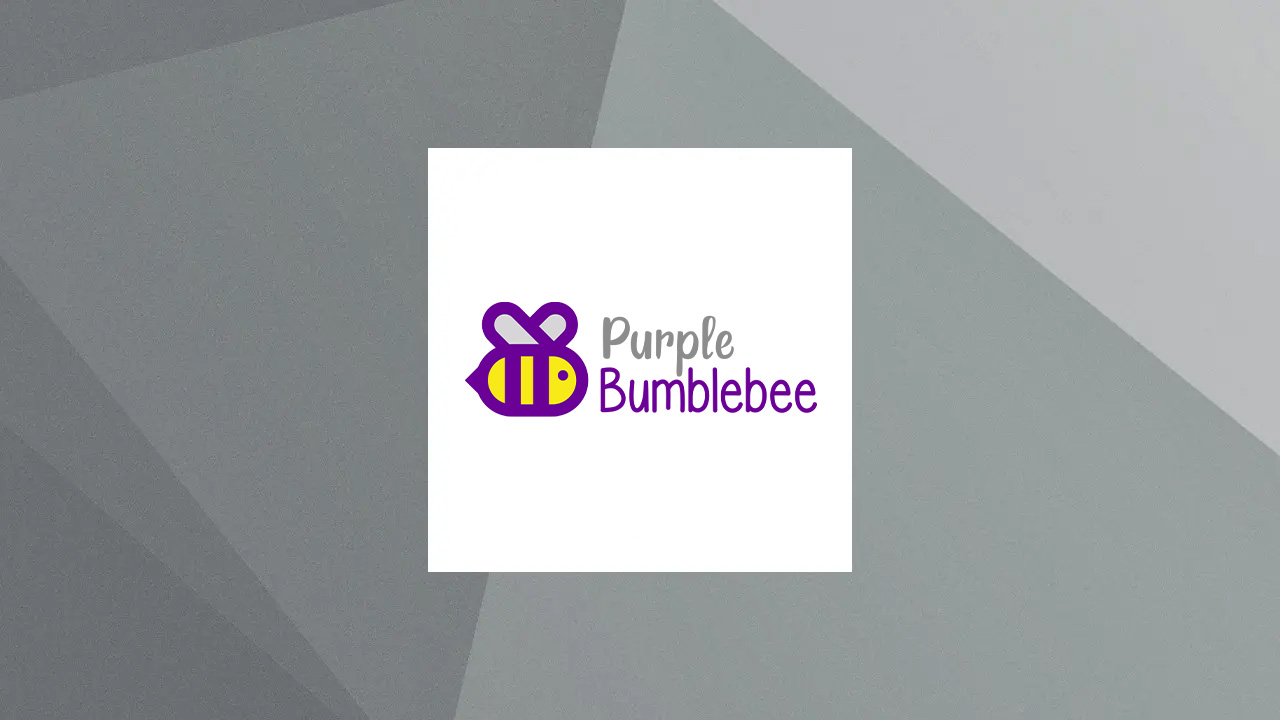 Purple Bumblebee Inc