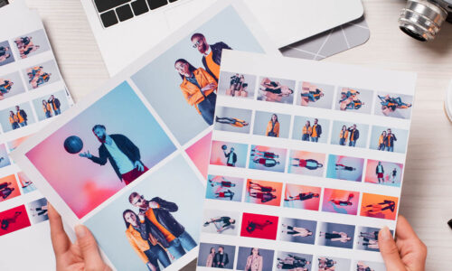 Catalog Chronicles #3: TBF Bags Go Live & Catalog News