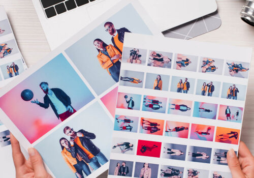 Catalog Chronicles #3: TBF Bags Go Live & Catalog News